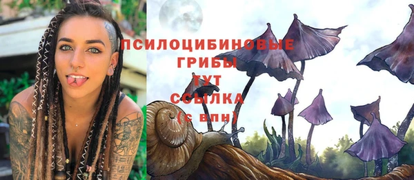 МДПВ Алексин