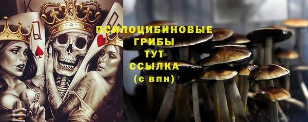 марки nbome Алексеевка