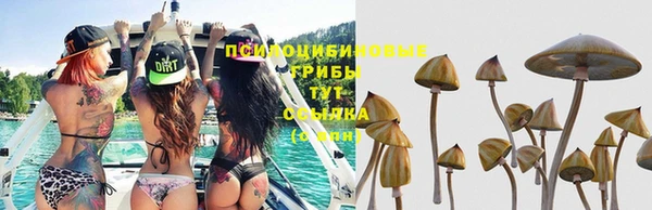 кокаин Алзамай