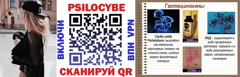 купить  цена  Махачкала  Галлюциногенные грибы Cubensis 